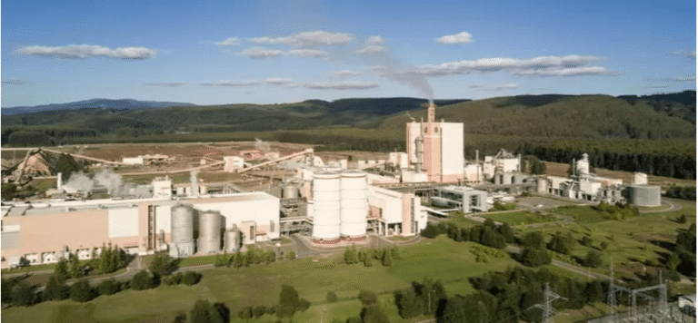 Reportan alrededor de 100 despidos en diferentes áreas de empresa Arauco