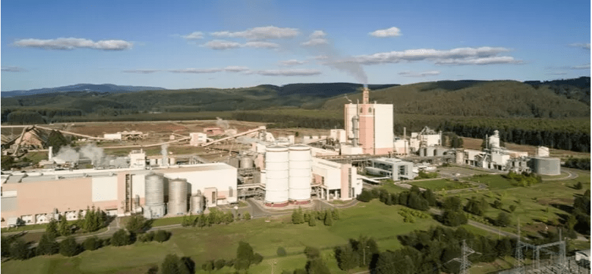 Reportan alrededor de 100 despidos en diferentes áreas de empresa Arauco
