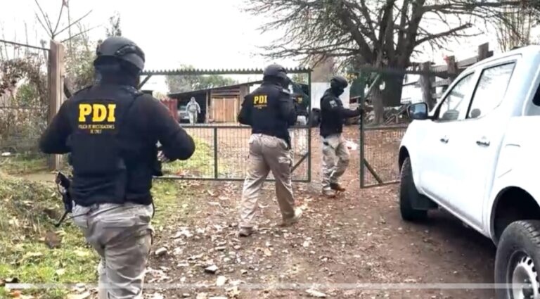 Desarticulan HISTÓRICA RED dedicada al ROBO de MADERA: 17 Detenidos y MILLONARIA INCAUTACIÓN