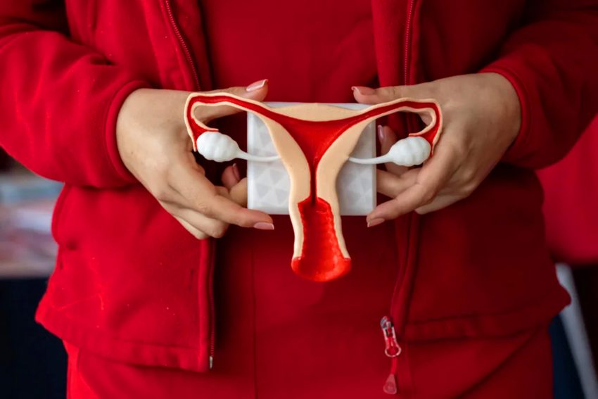 Síndrome del Ovario Poliquístico cambia su nombre para reflejar mejor su carácter endocrino y metabólico