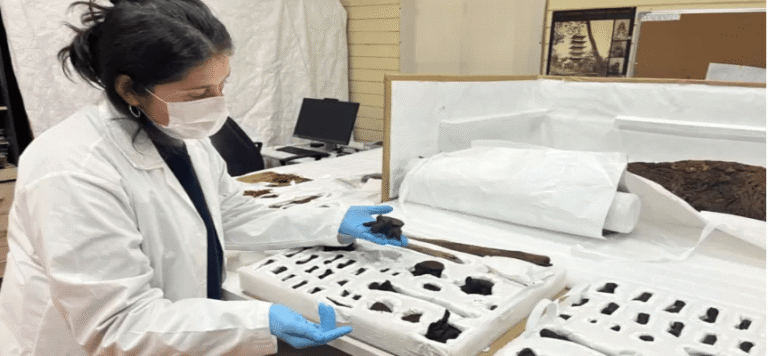 Museo Pedro del Río Zañartu busca devolver cinco momias a pueblos originarios del norte grande