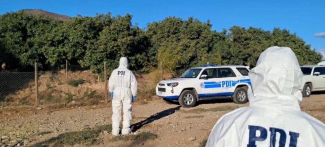 Hallan a DOS HOMBRES ASESINADOS con PERDIGONES en predio agrícola: PDI investiga DOBLE HOMICIDIO