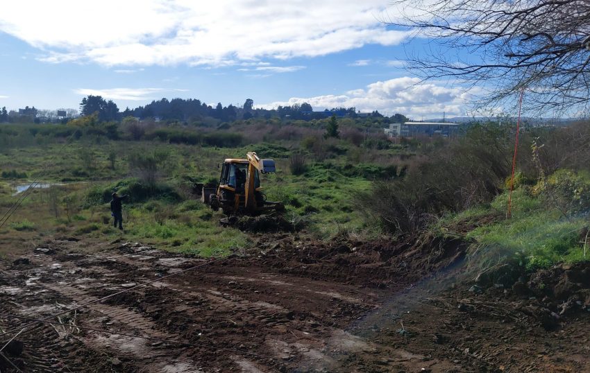 Municipio investiga ingreso de maquinaria al Humedal Paicaví tras denuncias de vecinos