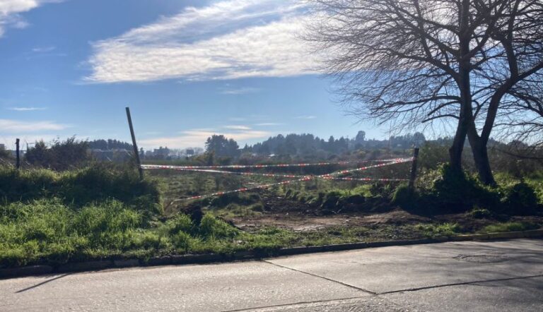 Maquinaria reingresa al Humedal Paicaví para avanzar en cierre perimetral de proyecto inmobiliario