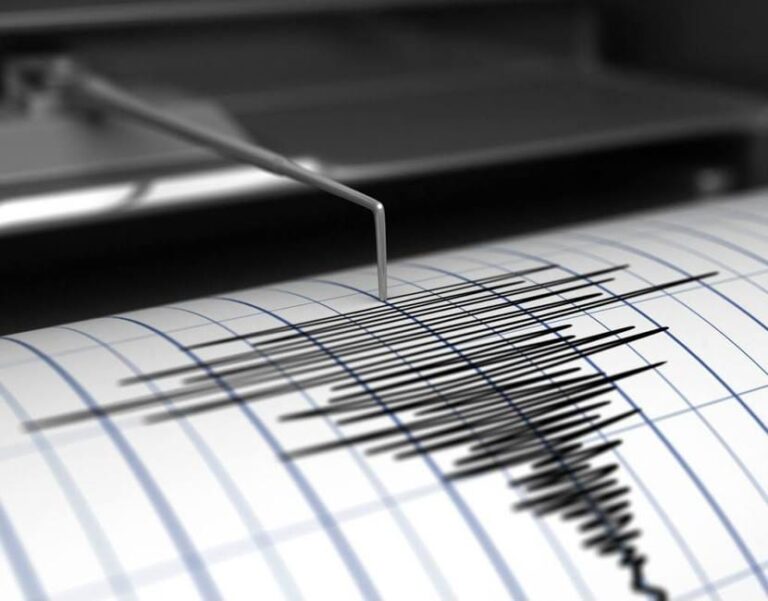 Terremoto de magnitud 6,9 sacude el norte de Japón: SHOA descarta riesgo de tsunami para Chile