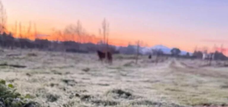 Chillán registra la temperatura más baja del año: termómetros marcaron -3,1°C en medio de intensa ola de frío