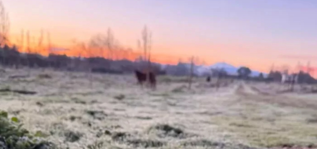 Chillán registra la temperatura más baja del año: termómetros marcaron -3,1°C en medio de intensa ola de frío