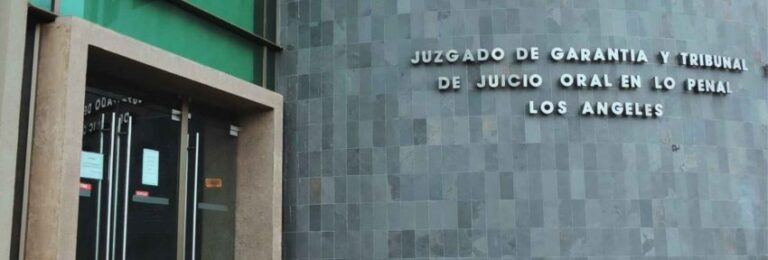 Autor de homicidio de joven embarazada en Mulchén: Tribunal lo condenó a 15 años de cárcel 