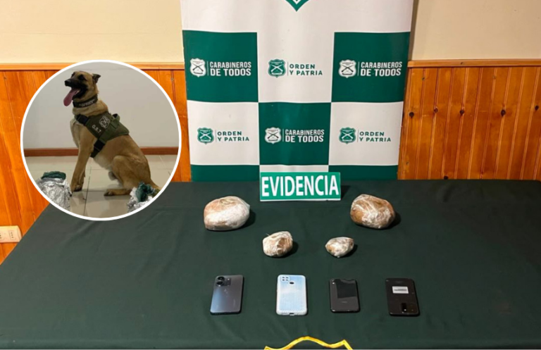 Olfato policial: can detector halla droga camuflada en café en Ñuble
