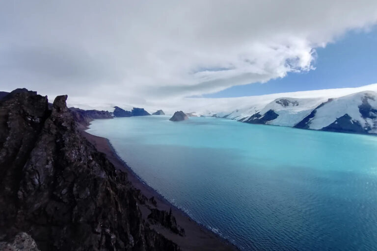 Aumento de turismo y conservación de la Antártica: impulsan nuevas herramientas de bioseguridad