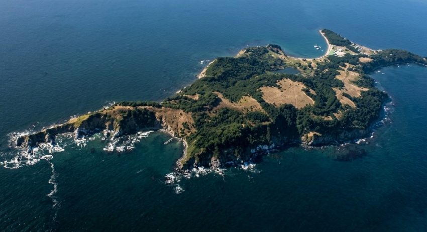 7 millones de inversión: adjudican obras para mejorar el helipuerto de Isla Quiriquina
