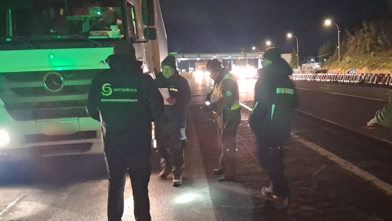 Incautan más de 2,4 toneladas de jurel presuntamente ilegal en la Ruta 152