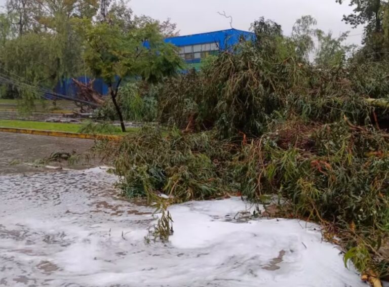 SISTEMA FRONTAL golpea al SUR de Chile: más de 100 mil clientes SIN LUZ y La Araucanía CONCENTRA la MAYOR EMERGENCIA