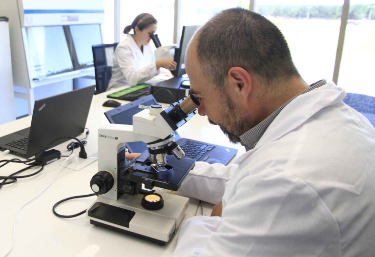 Abren convocatoria para integrar nómina del Fondo Regional para la Productividad y el Desarrollo 2026