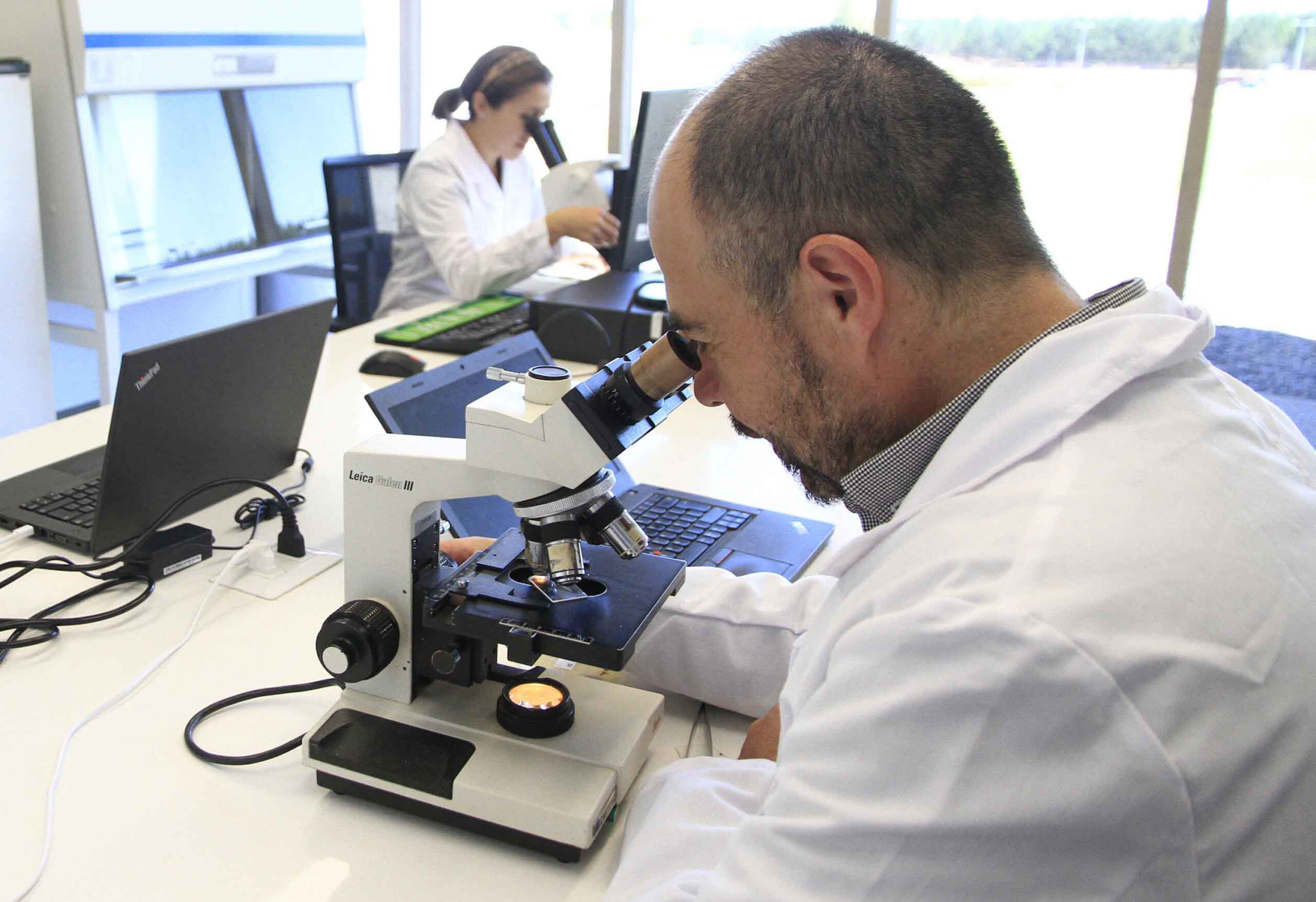 Abren convocatoria para integrar nómina del Fondo Regional para la Productividad y el Desarrollo 2026