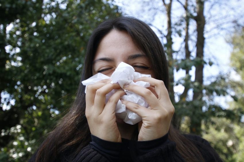 Día Mundial de la Alergia: cuáles son las más comunes y cómo prevenirlas