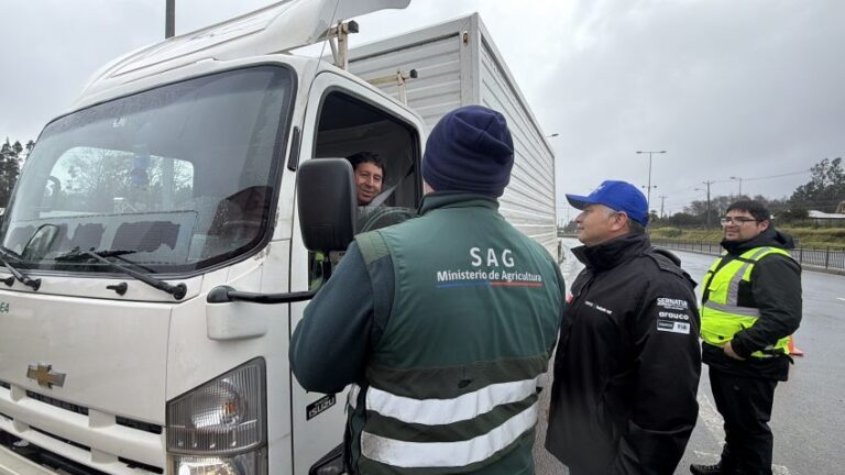 Decomisan más de 8 mil 500 kilos de papas durante fiscalizaciones en la provincia de Arauco