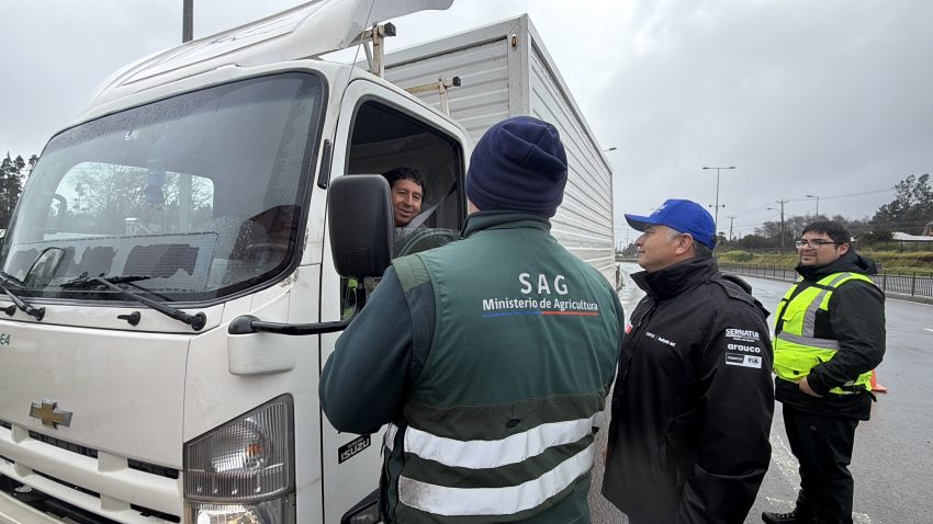 Decomisan más de 8 mil 500 kilos de papas durante fiscalizaciones en la provincia de Arauco