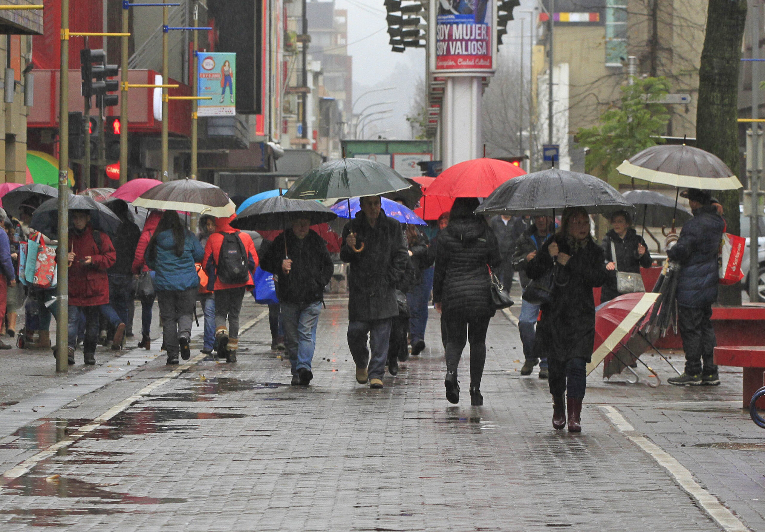 Por intensas lluvias: Essbío activa plan contingente para tratar emergencias