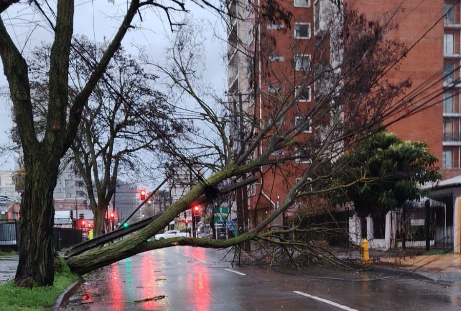 Sistema frontal: reportan rachas de viento alcanzan los 107 km/h en Carriel Sur