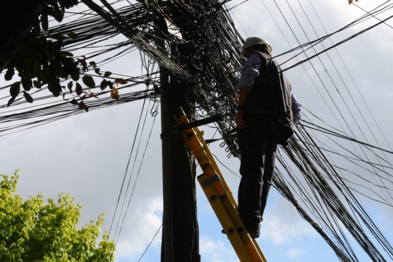 Más de 117 mil clientes siguen sin electricidad en Biobío por sistema frontal
