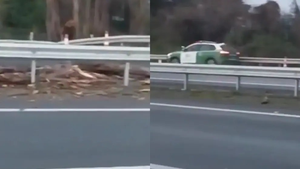 Sistema frontal ha dejado 3 FALLECIDOS hasta ahora, uno de ellos del BIOBÍO