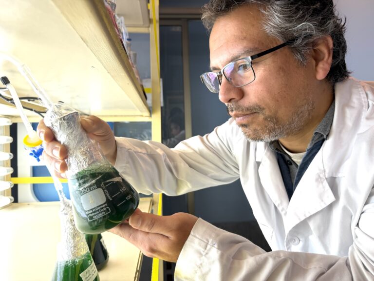 Descubren microalga para proteger y reparar la piel del daño solar