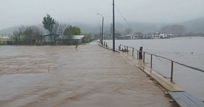 Declaran Alerta Amarilla en comuna de Arauco por crecida del río Pichilo 