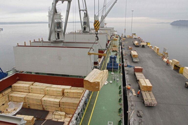 Exportaciones forestales del Biobío caen 9,8% en mayo