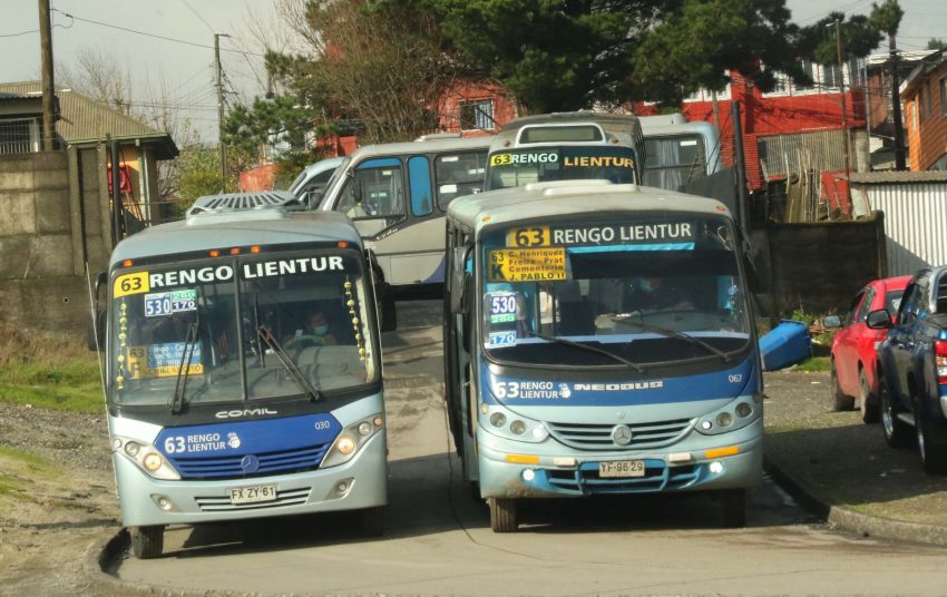 Rengo Lientur y Buses Mini Verde se suman a las líneas que lideran ranking de calidad del transporte penquista
