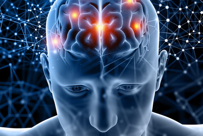 Concurso sobre neurociencia invita a estudiantes de todo Chile a aprender y celebrar el Año del Cerebro