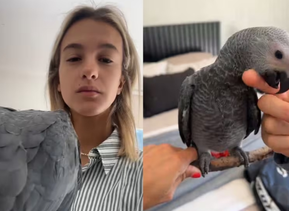 NUEVA POLÉMICA para Josefa Sáez: REFLOTAN video donde PROPONE OPERAR a un LORO para que NO PUEDA VOLAR