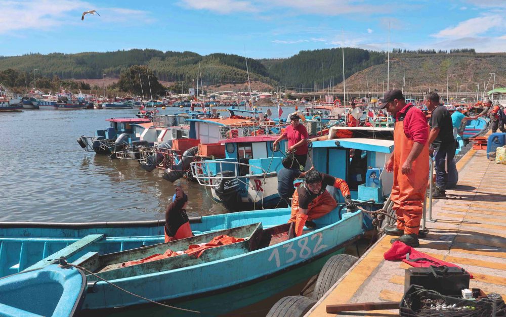 Pescadores artesanales advierten amenaza por megaproyectos eólicos en el Golfo de Arauco