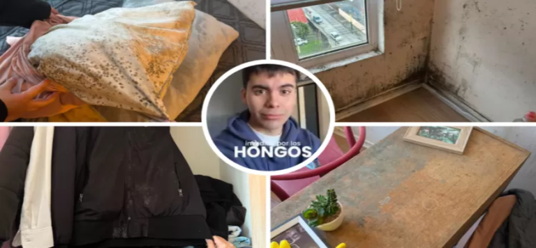 Almohadas, ropa y escritorio dañados impactante caso de hongos en departamento en Concepción es viral