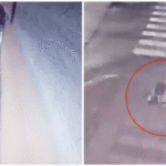 VIDEOS  Robo de tapa metálica hombre se fractura gravemente tras caer a hoyo en vereda de Concepción