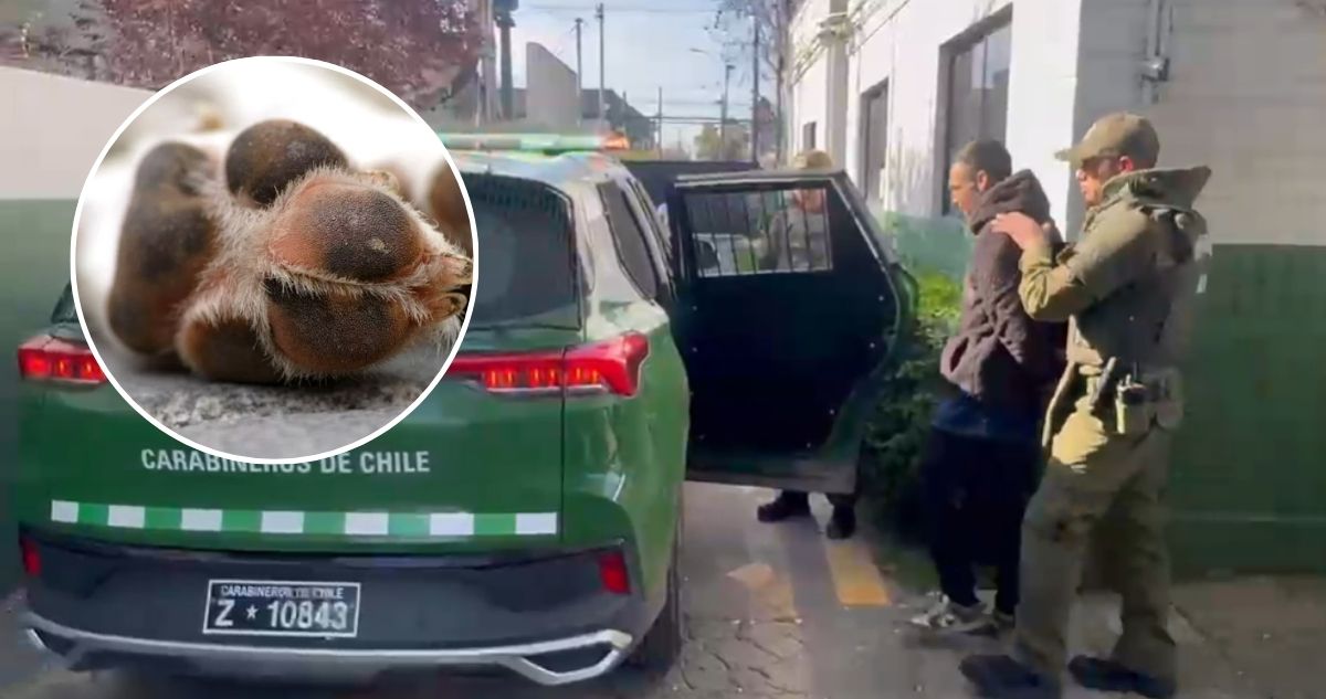 Prisión preventiva para sujeto por faenar y asar perro con una parrilla en vía pública