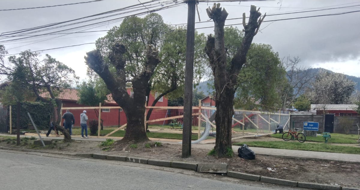 Justicia falla a FAVOR de vecino que COMPRÓ la MITAD de una PLAZA en Chiguayante: Municipio deberá DEVOLVER terreno Justicia falla a FAVOR de vecino que COMPRÓ la MITAD de una PLAZA en Chiguayante: Municipio deberá DEVOLVER terreno