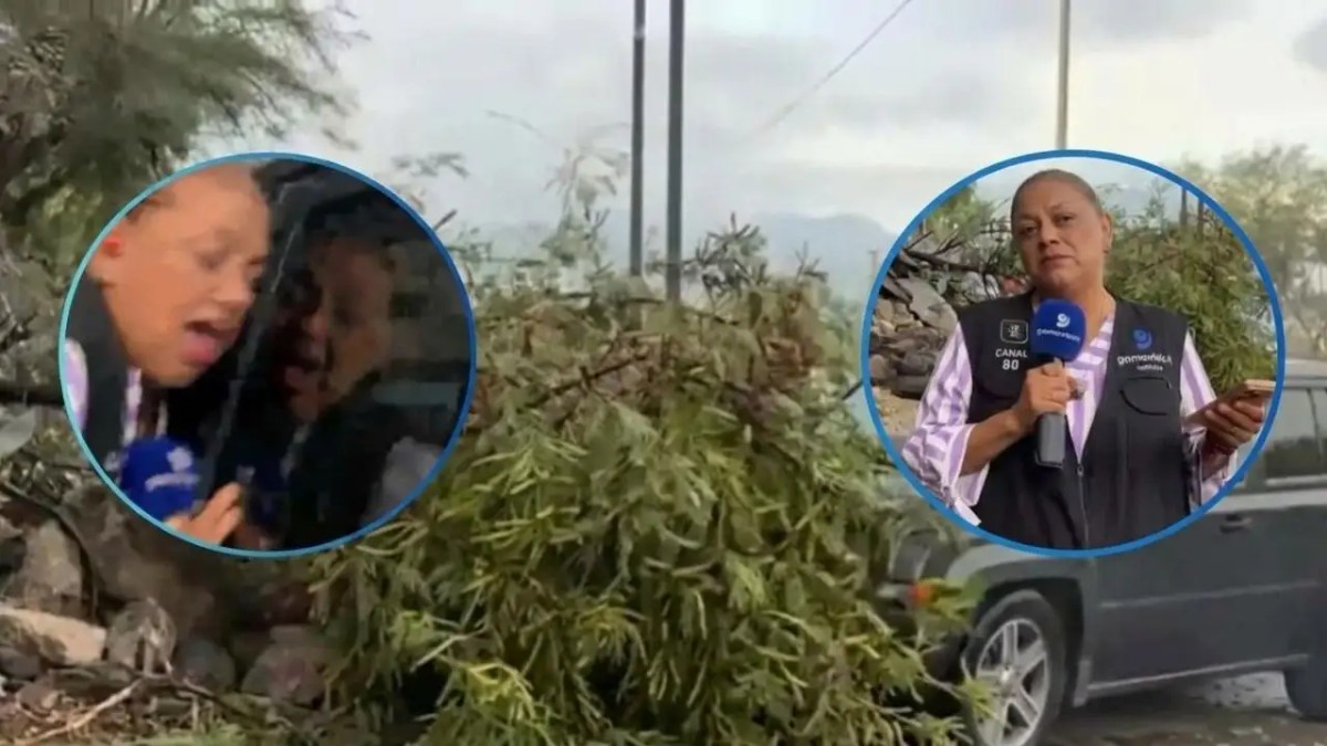 IMPACTANTE: Periodista es ATROPELLADA mientras transmitía EN VIVO accidente IMPACTANTE: Periodista es ATROPELLADA mientras transmitía EN VIVO accidente