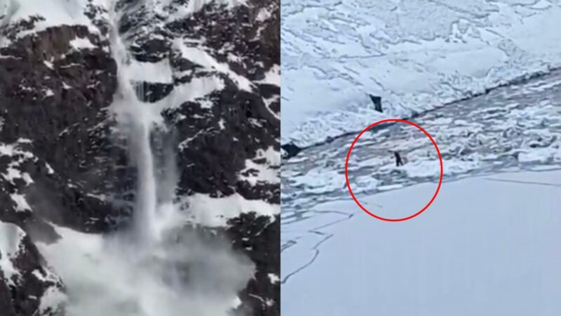 TRAGEDIA en Los ANDES: Avalancha deja 4 FALLECIDOS y varios HERIDOS en PORTILLO