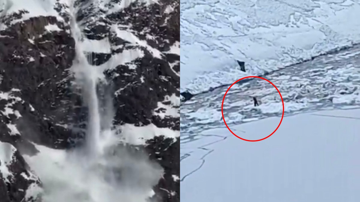 TRAGEDIA en Los ANDES: Avalancha deja 4 FALLECIDOS y varios HERIDOS en PORTILLO