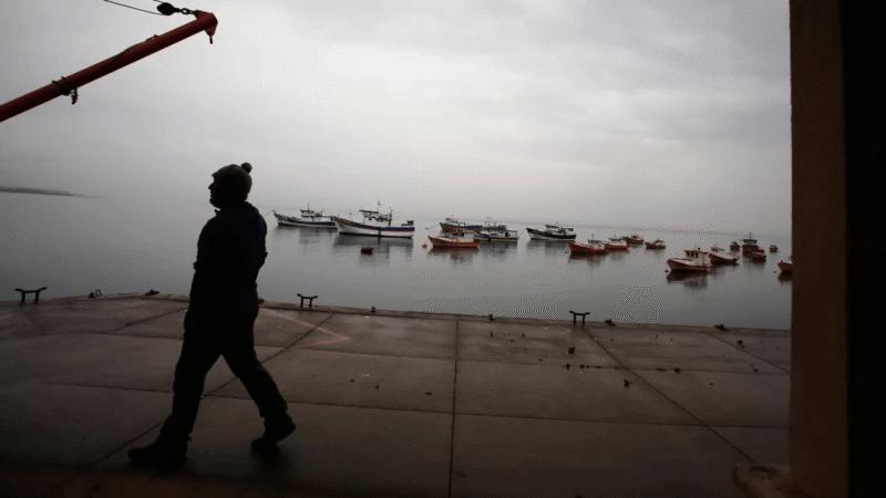 Gobierno declara emergencia preventiva en 15 regiones ante amenaza de marea roja
