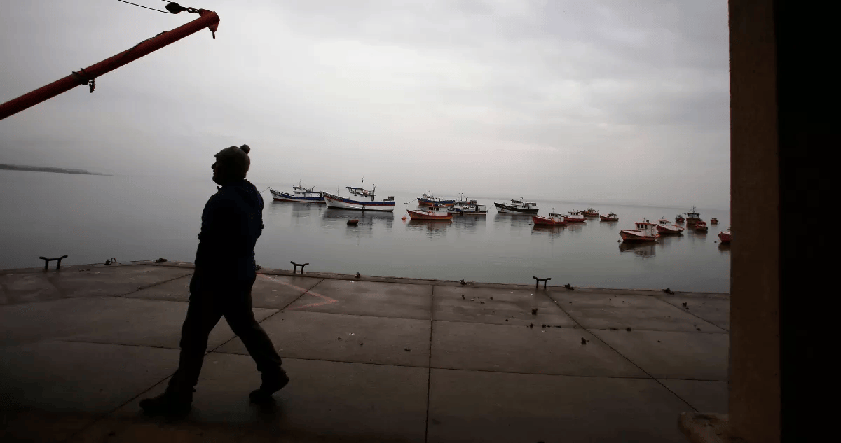 Gobierno declara emergencia preventiva en 15 regiones ante amenaza de marea roja